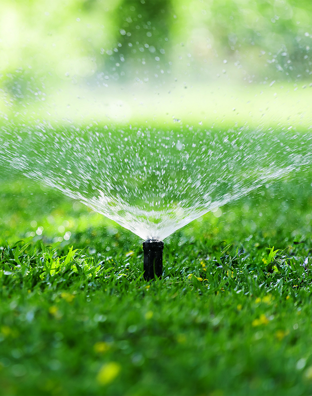 sprinkler-managers-image-7